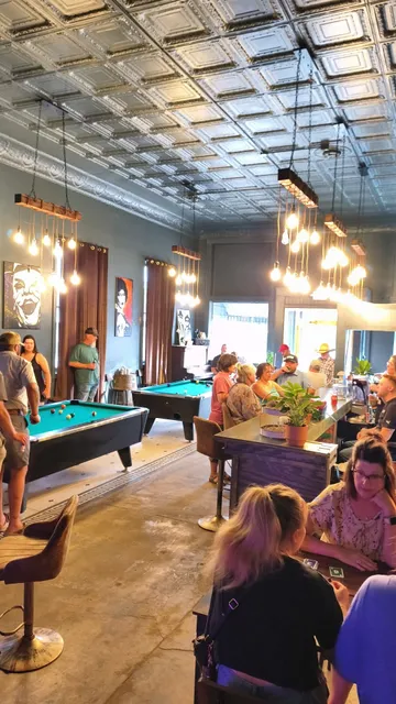 The Seasick Crocodile