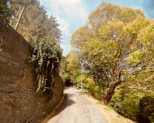 Fontana's House Relax