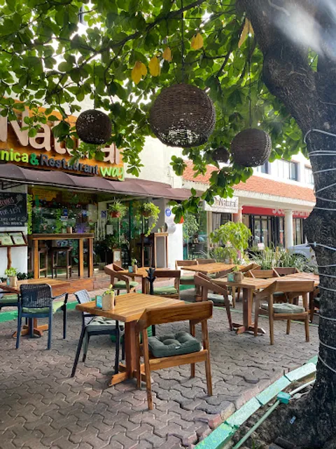 BIO-Natural Suc. Constituyentes