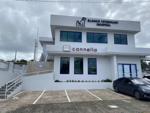 Cannella Shop