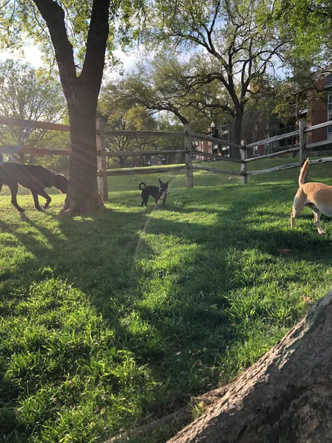 The Village WAG - Exclusive For The Village Residents