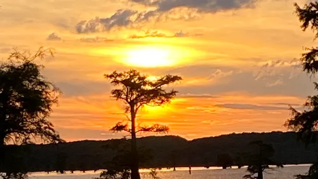 Ole Jigger Caddo Lake Adventures
