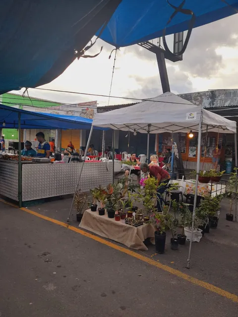 Feira Campos Eliseos