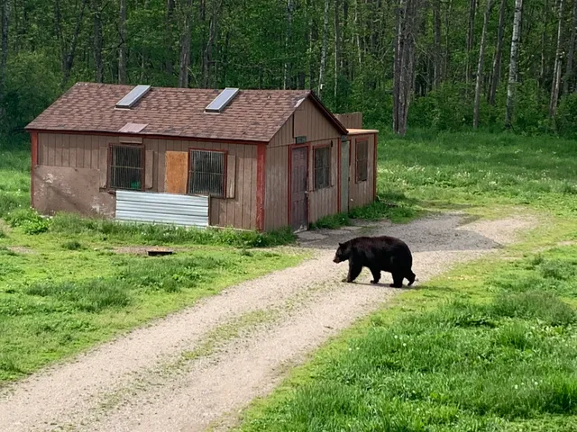 Vince Shute Wildlife Sanctuary
