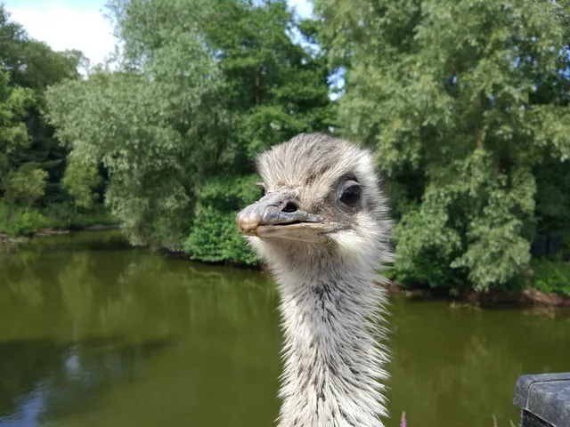 Kinderboerderij 't Weusthag