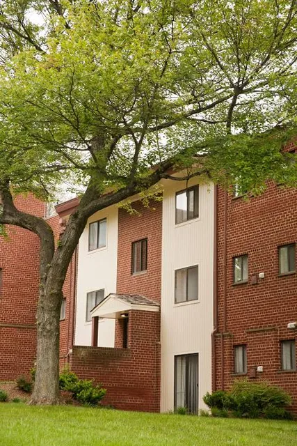 Museums Haus Lange Haus Esters