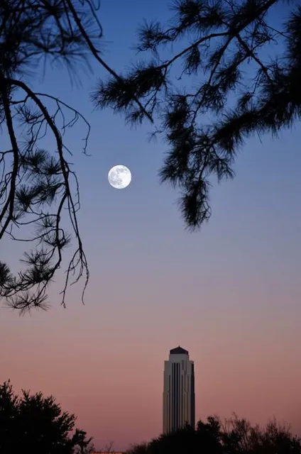 Danny Jackson Family Bark Park