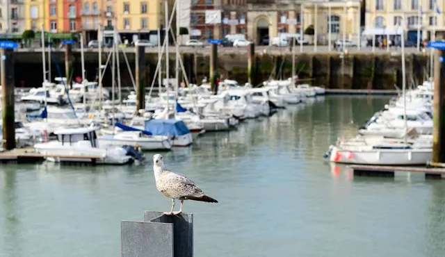 Navigation Normandy - Dieppe, Promenade and sea fishing