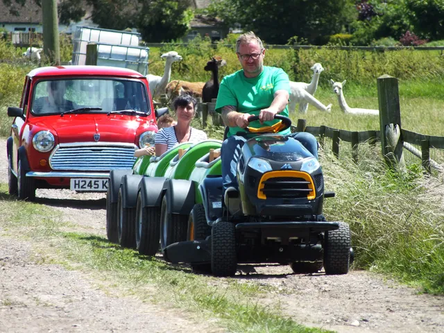 Marsh Maze & Fun Yard