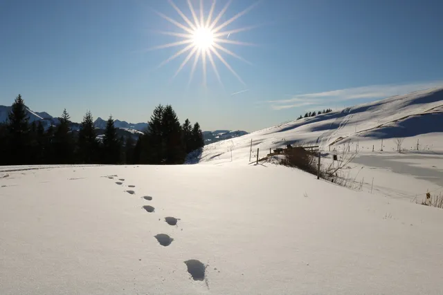 Skilift Egg, Ottenleue AG