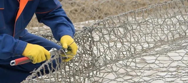 Rezerwat Tysiąclecia na Cergowej Górze