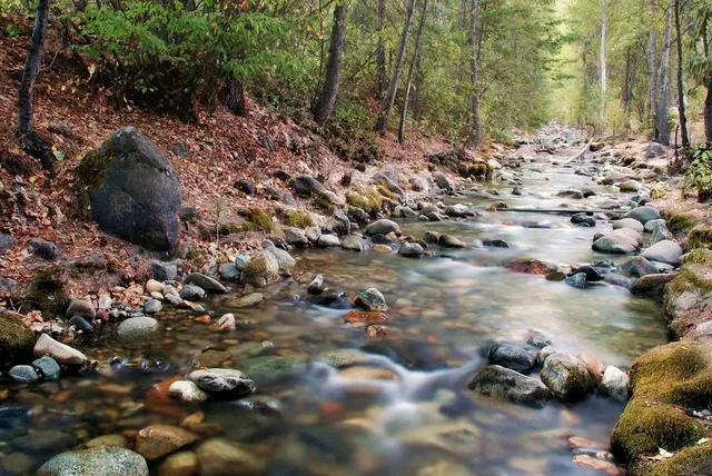 Twenty-Five Mile Creek State Park