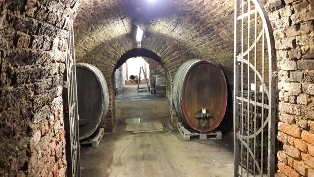 Weingut Friedrich Altenkirch GmbH & Co. KG