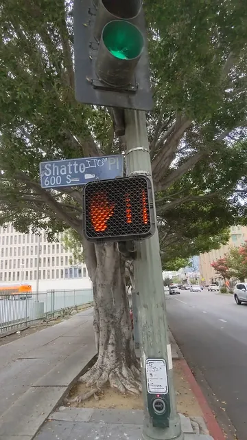 California International University