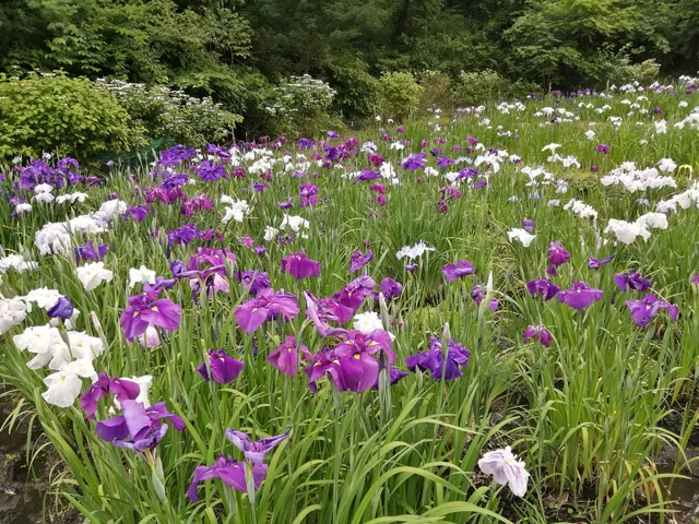Ninomiyaseseragi Park