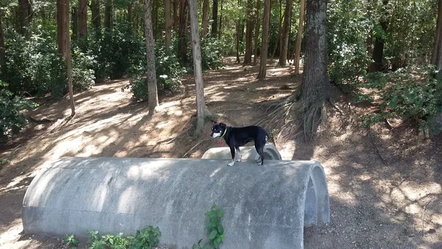 The Preserve Dog Park