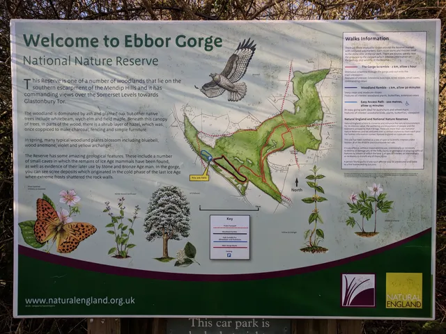 National Trust - Ebbor Gorge National Nature Reserve