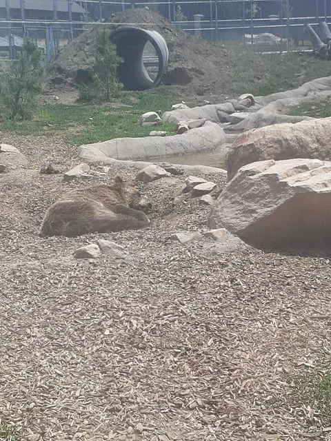 Friends of the Big Bear Alpine Zoo
