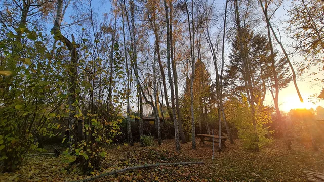 kunstgARTen Friedberg