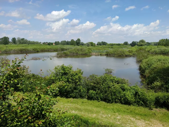 Riserva Naturale Torbiere di Marcaria