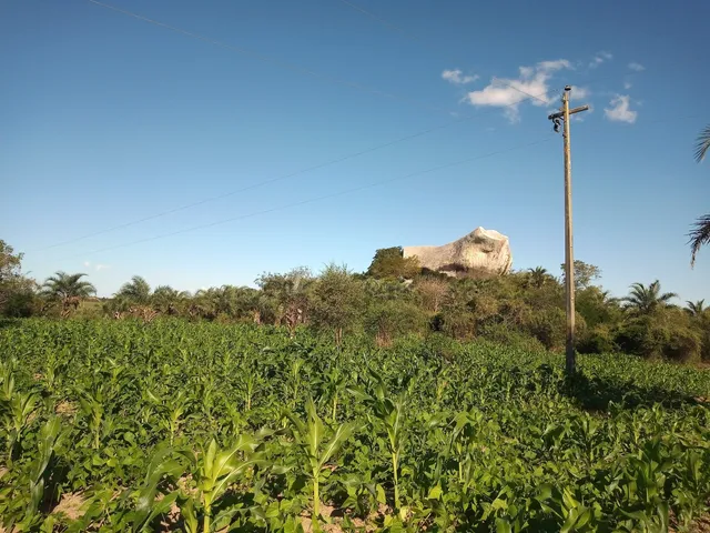 Região Geográfica Imediata de Limoeiro