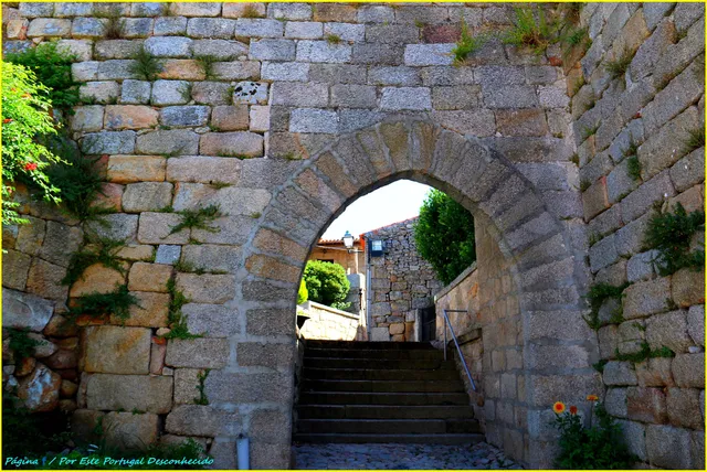 photo-2