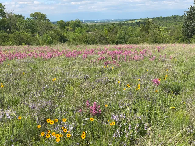 Tandy Hills Natural Area / Stratford Nature Area