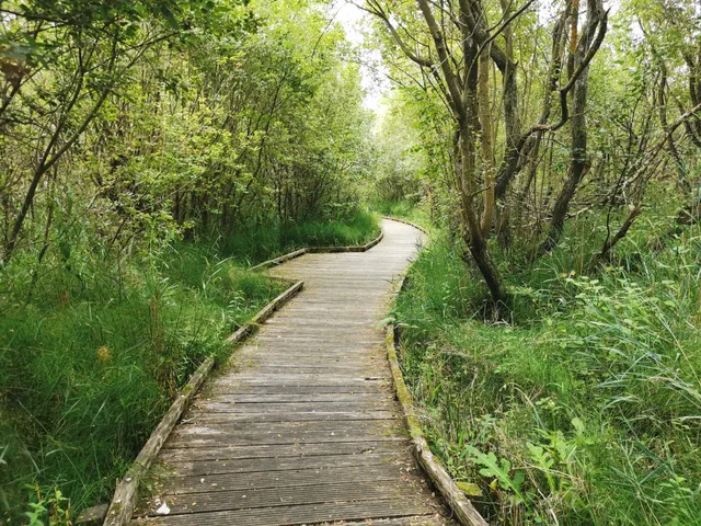 Parc du Rohart - Zone protégée