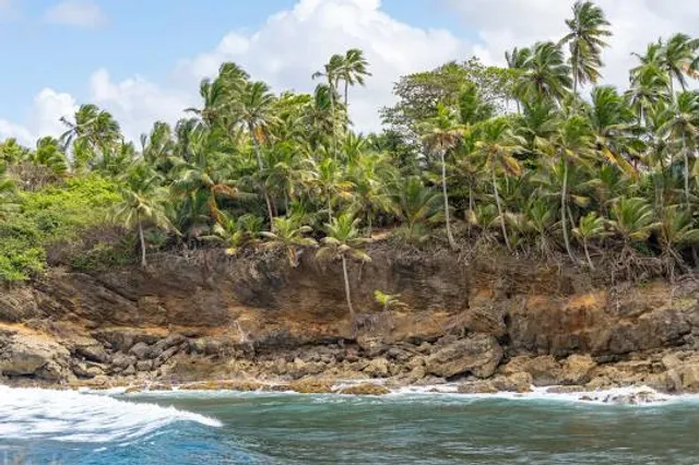 Parque Nacional Cerro Gordo