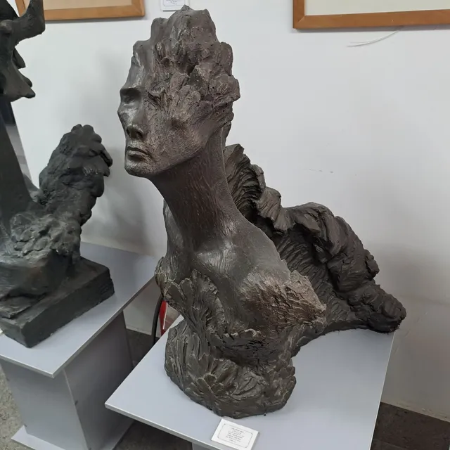 Doctor Sondouzi Museum