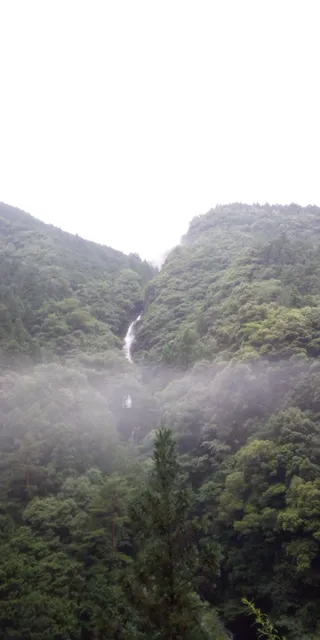 photo-2