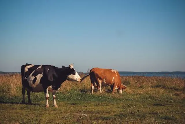 Parque Recreativo da Cidade (Polis)