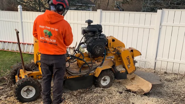 Happy Trees Services INC