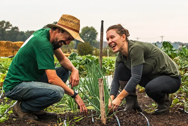 Perkins' Good Earth Farm
