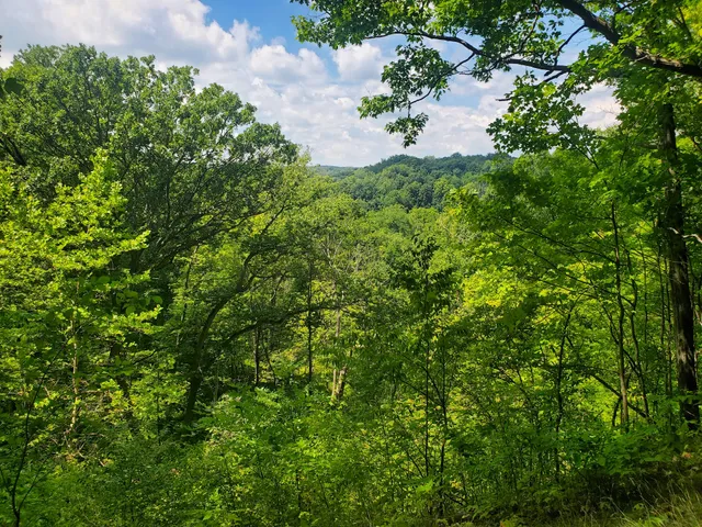 My Mountain Scenic Overlook