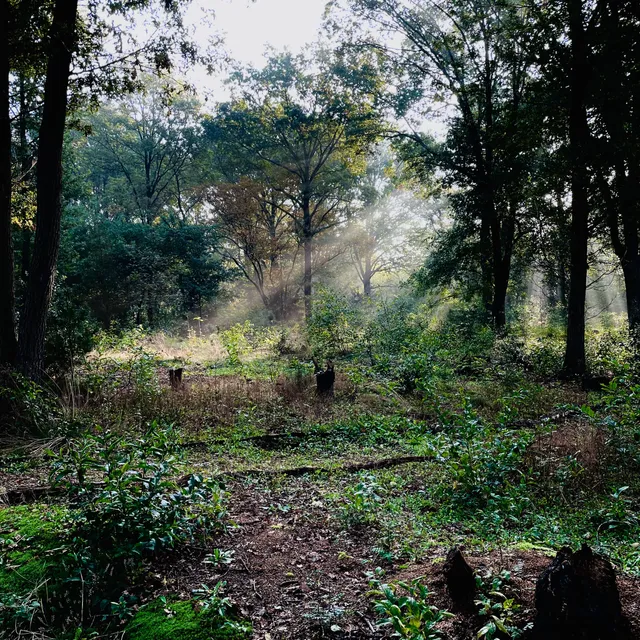 Maple Farm Adventures - Klimpark