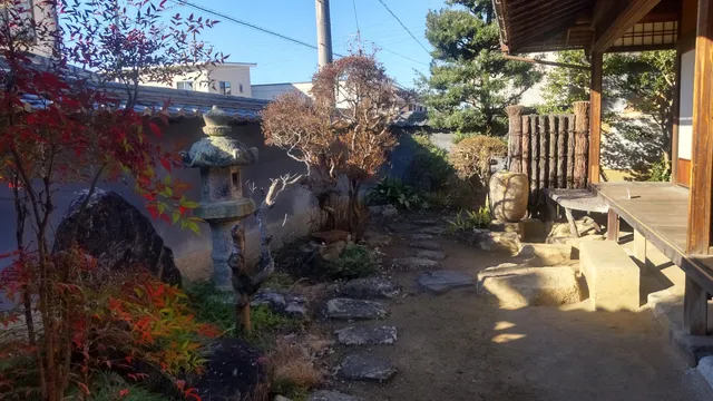 photo-1