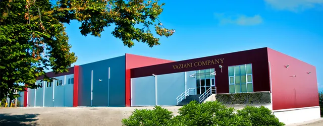 Vaziani Company