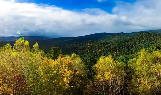 Lumberjack Steam Train & Camp 5 Museum