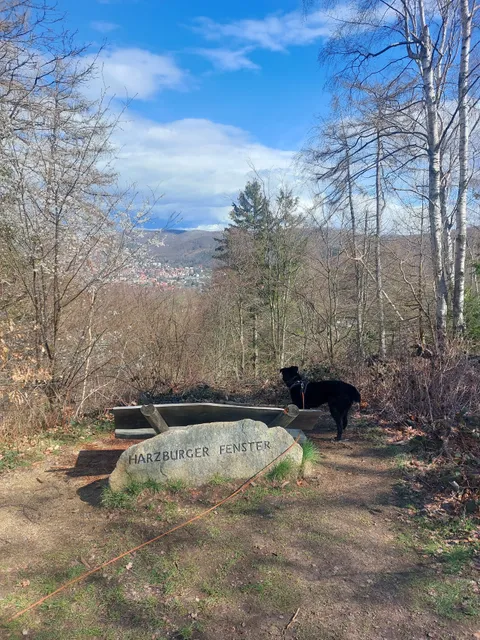 Harzburger Fenster
