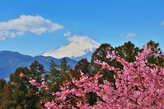 Aguri Park Sagayamaen