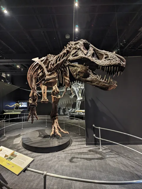 American Museum of Natural History Dinosaur Gallery