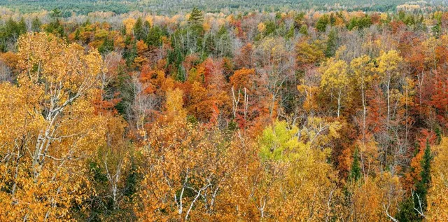 Cup and Saucer Nature Reserve