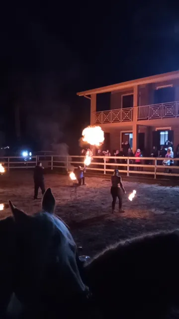 FONTANELLA MAGIC ARABIANS