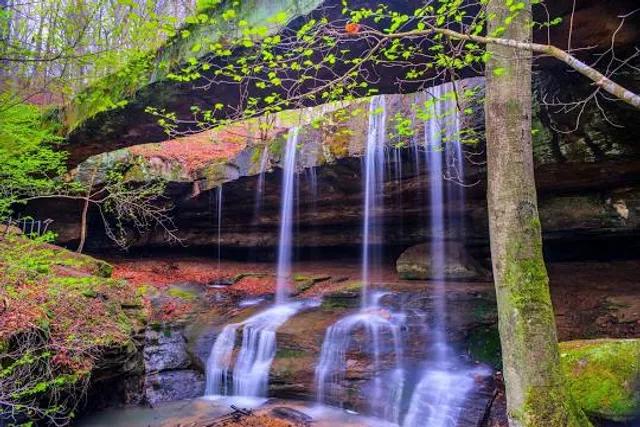 Rockbridge State Nature Preserve