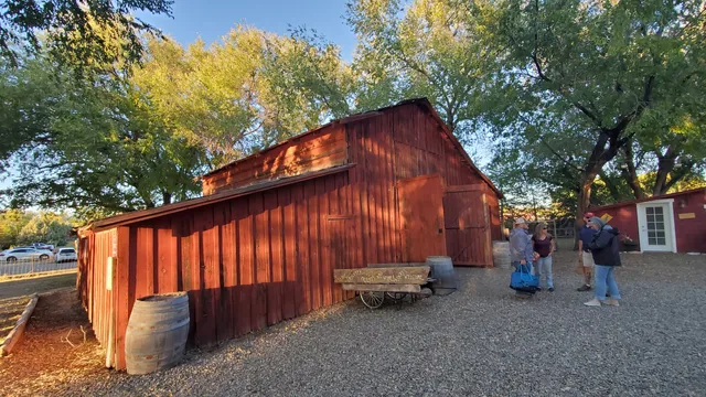 Winey Cats at Granite Creek Vineyards