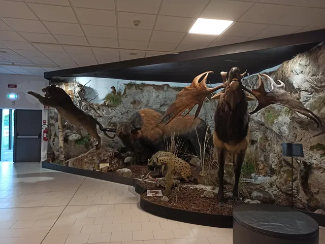 Museum of Prehistory Luigi Donini