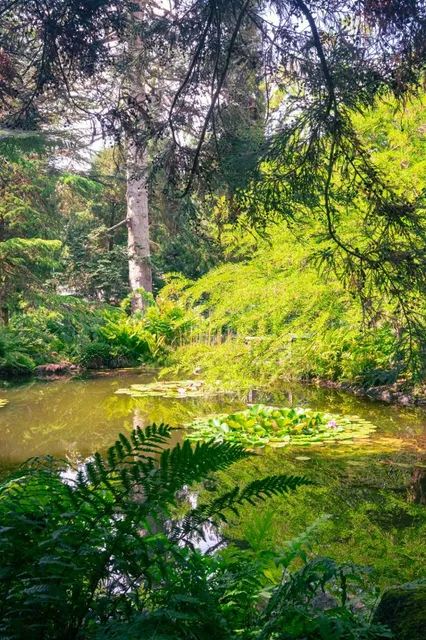 Botanical Gardens Pinetum Blijdenstein