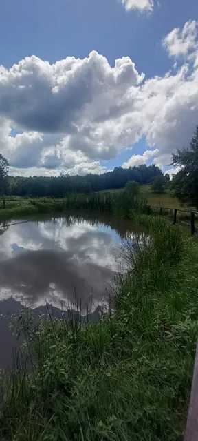 Tűzlepke Öko-élménypark Orfalu