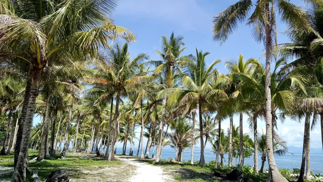 Imaga White Sand Beach